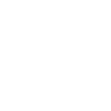 Automobilelektronik